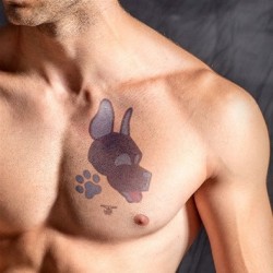 Tatouage éphémère PUPPY 10...