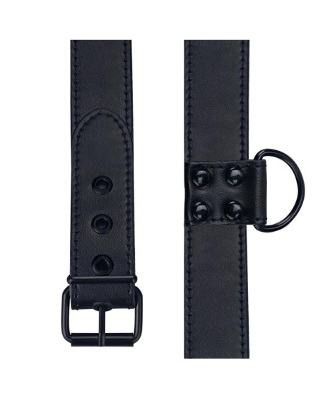collar with leash noir matt