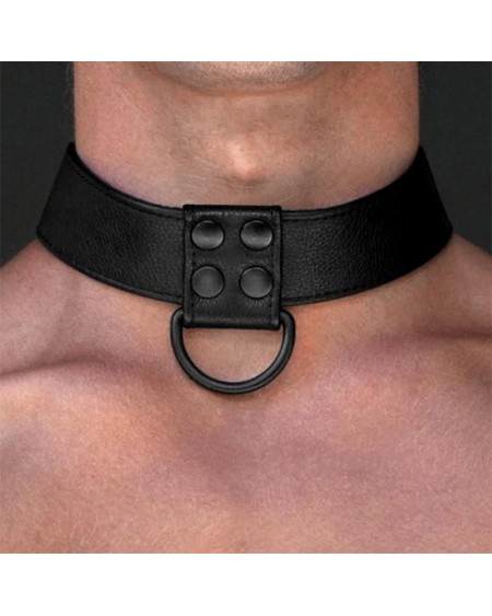 collar with leash noir matt
