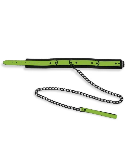 glow in the dark collar with leash