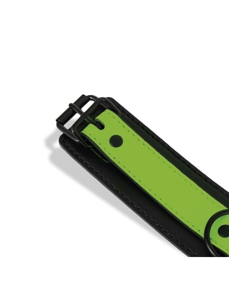 glow in the dark collar with leash
