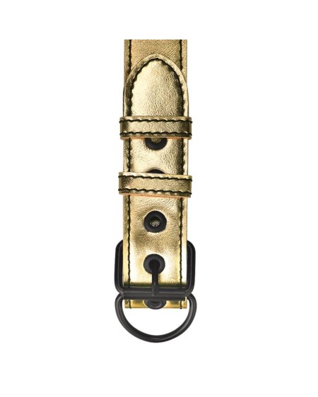 collar with leash bondage gold
