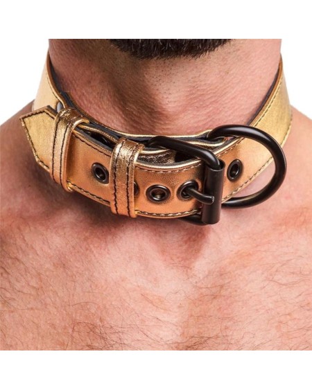 collar with leash bondage gold