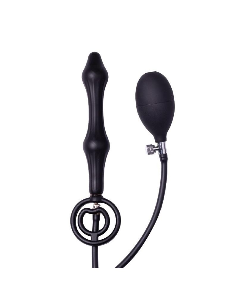 inflatable anal plug with double balloon and pump