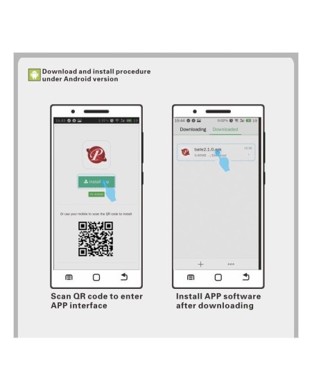 nymph vibrant egg with movil app