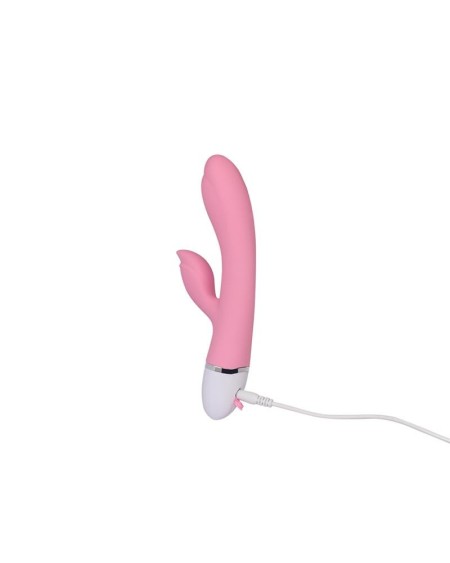 vibe dreamer ii usb rose