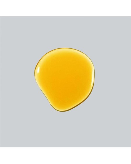 bronzing intensifier dry oil