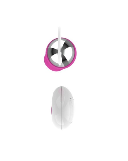 vibrant egg with remote control usb rose
