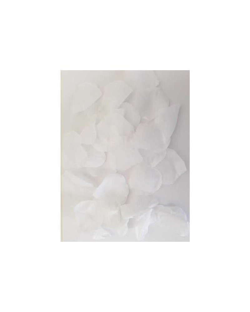 100 petals white