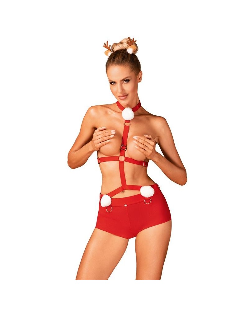 ms reindy harness, panties and hair clips