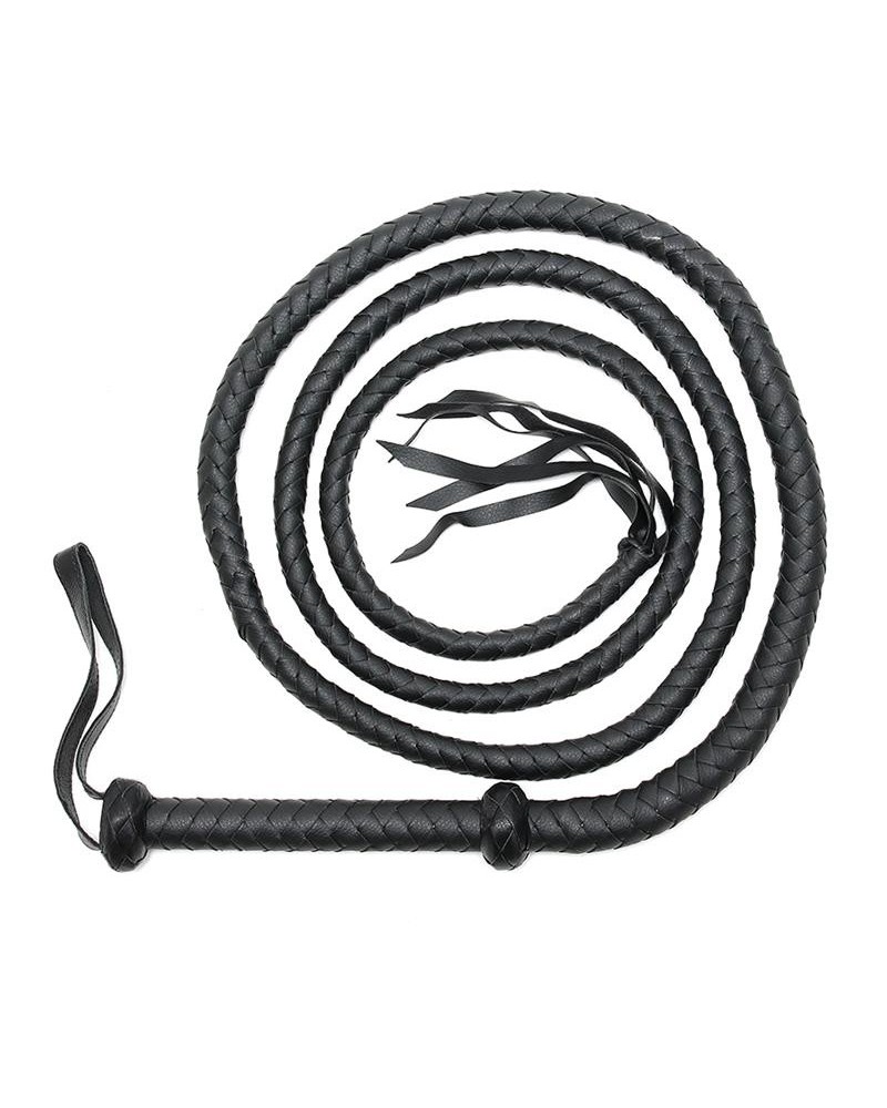 whip 250 cm