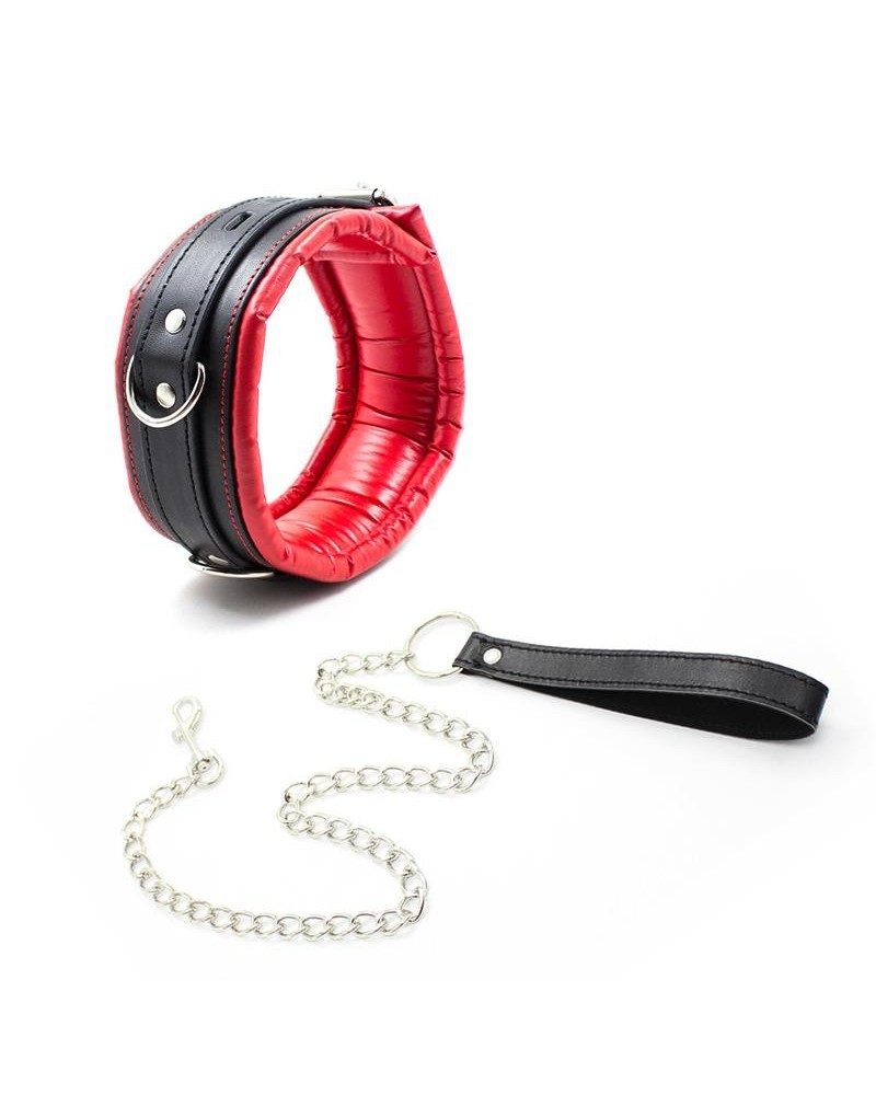 collar with metal leash padded interior redblack