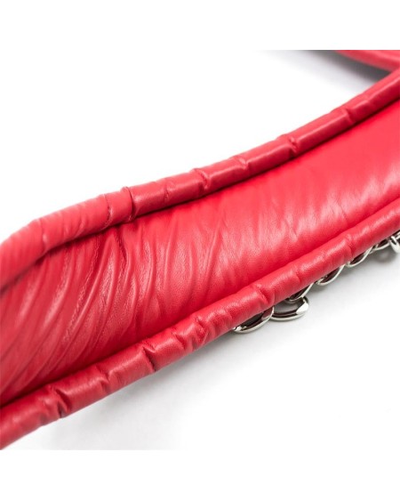 collar with metal leash padded interior redblack