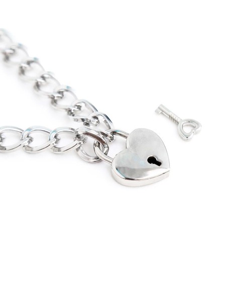 collar with lock metal size m 44 cm