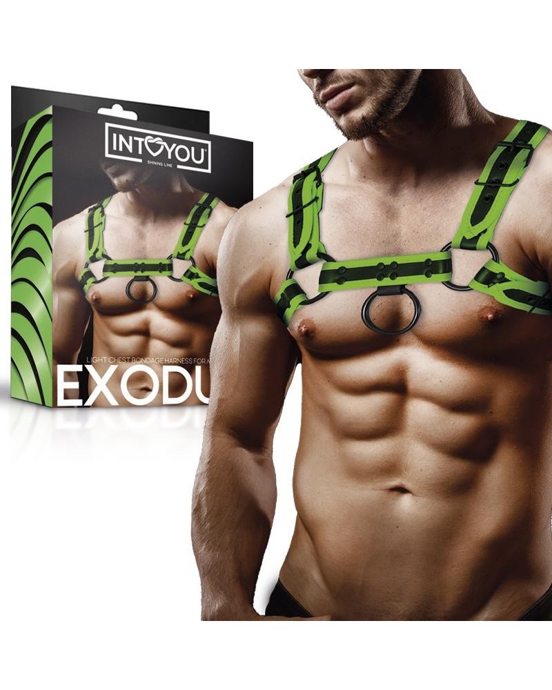 glow in the dark bondage chest harness