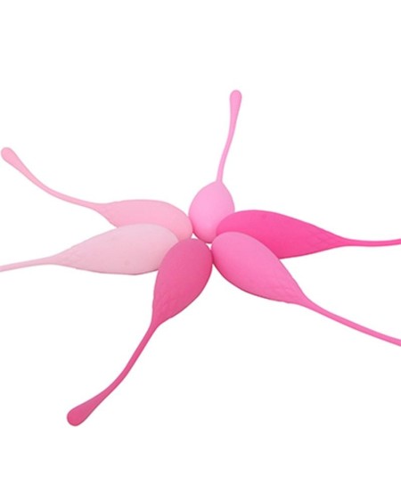 adalet kit 6 kegel balls silicone