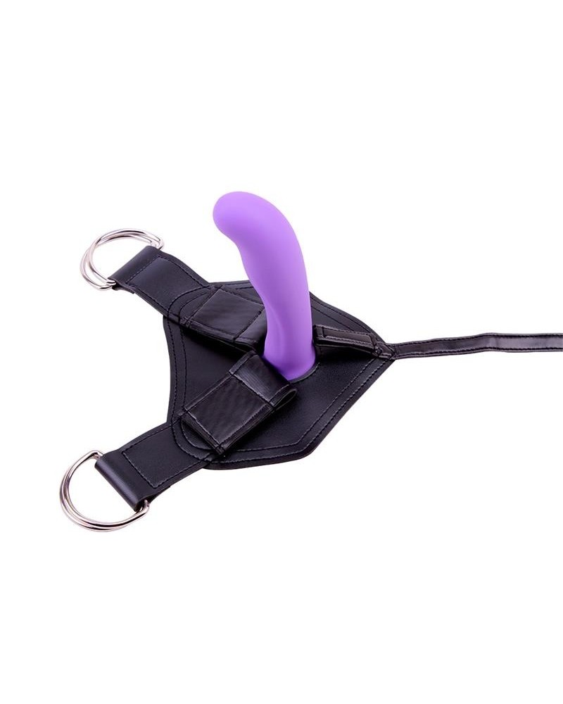 harness and dildo amor