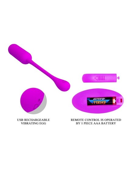 lechies vibrant egg with remote control usb