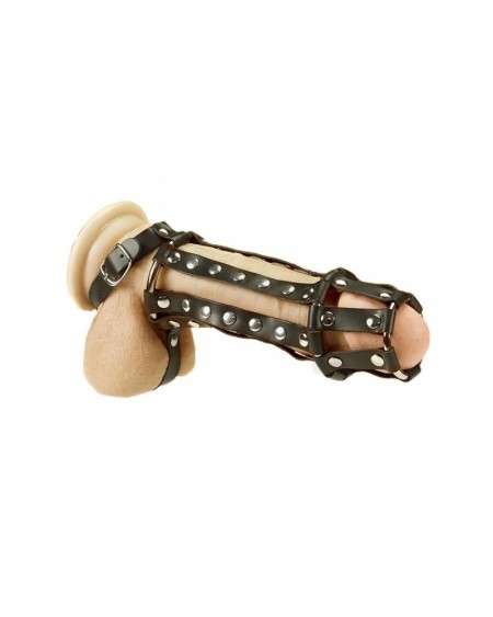penis and ball harness