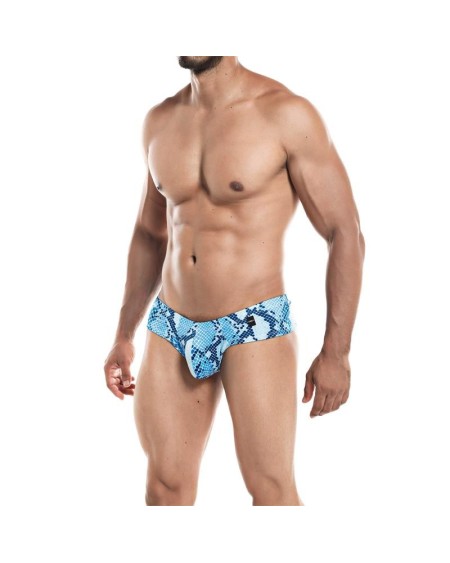 cheeky brief provocative snake