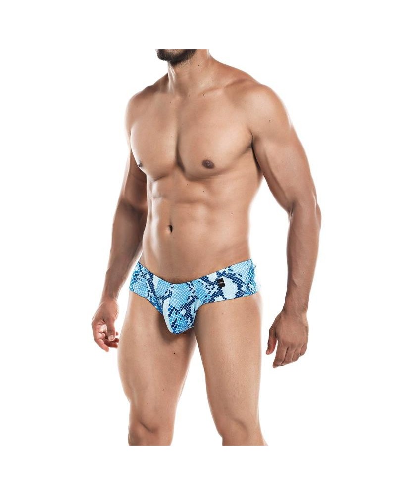 cheeky brief provocative snake