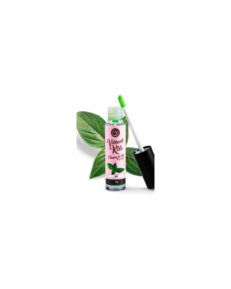 lip gloss vibrant kiss flavor mint