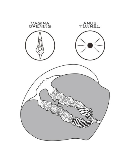 masturbator streetgirls 12