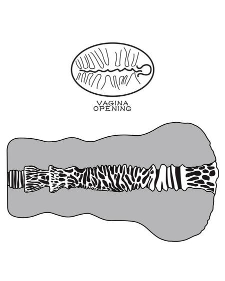 masturbator aliens pie 2