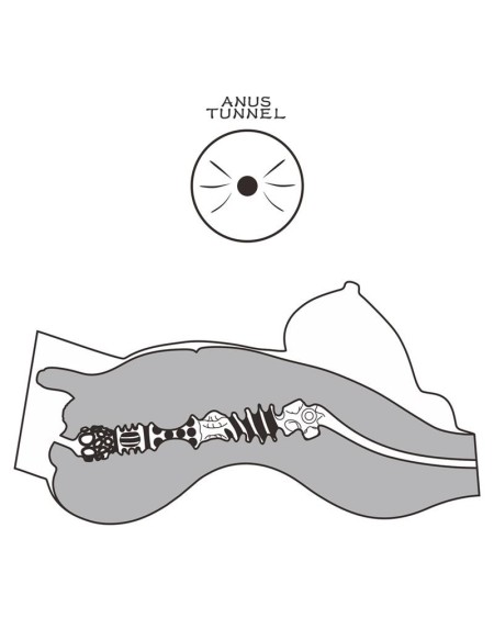 masturbator streetgirls 8