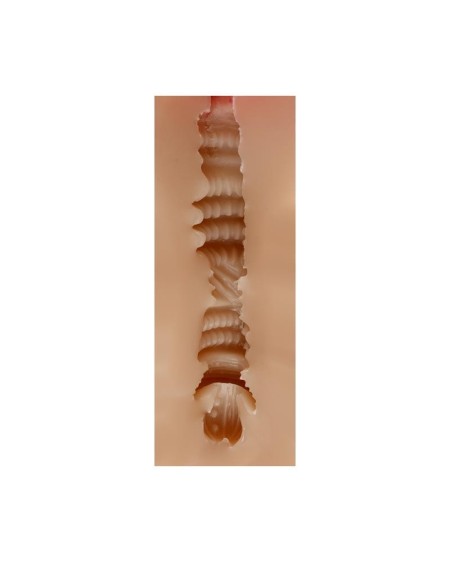 male masturbator vagina judith peau