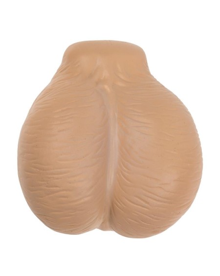 squeeze sexy display 12 pieces assorted