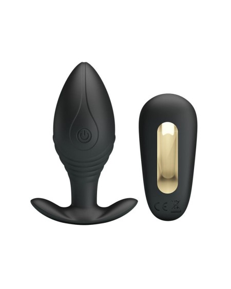 regina royal butt plug with remote usb