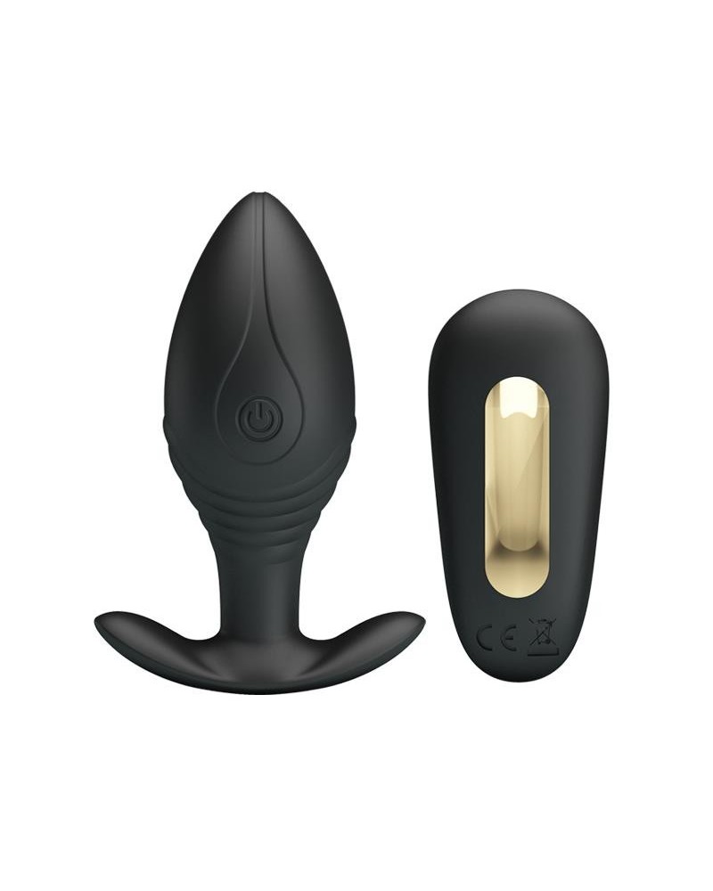 regina royal butt plug with remote usb