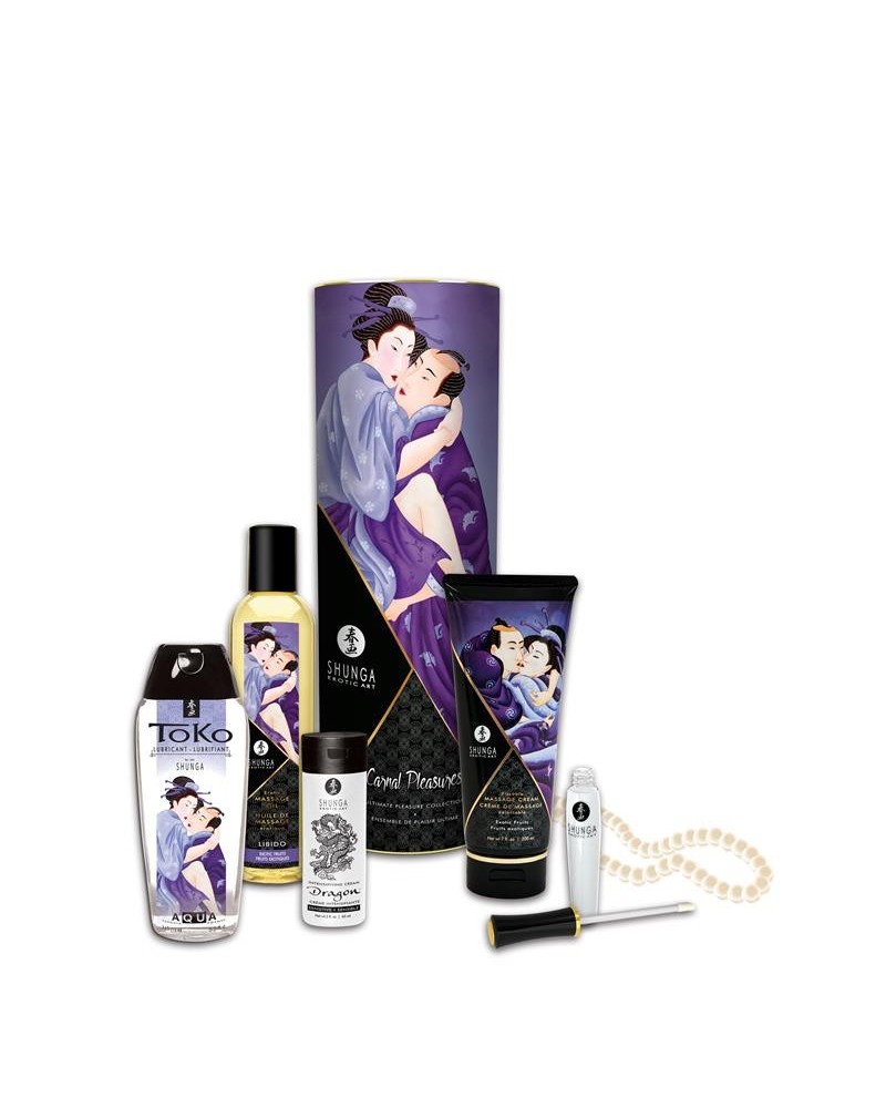 shunga carnal desires kit