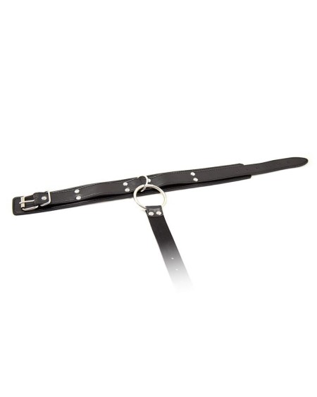 collar with restraints adjustable noir