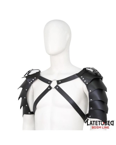 shoulder harness adjustable