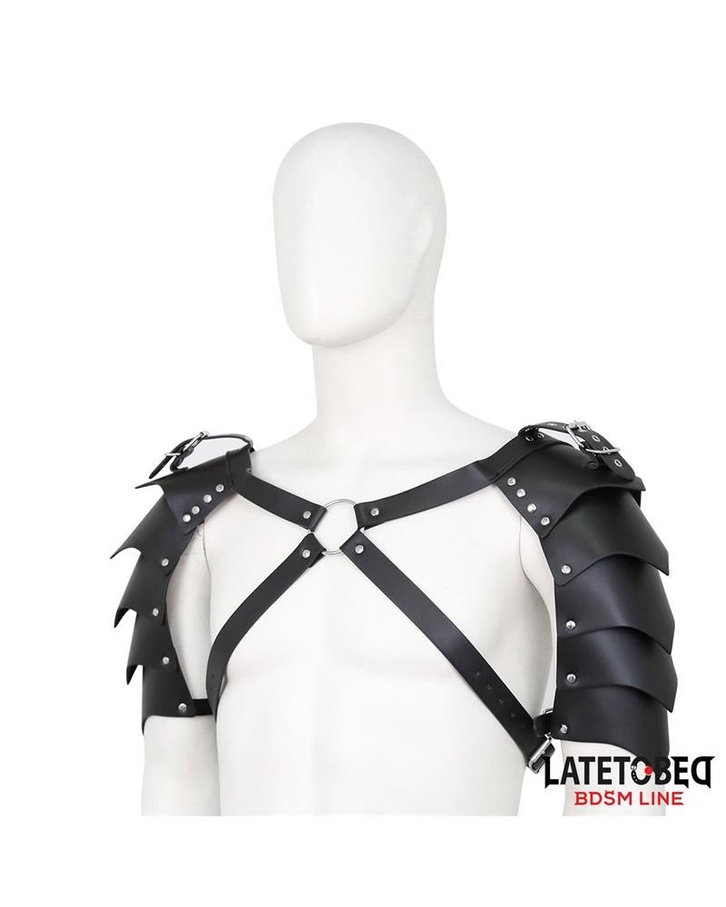 shoulder harness adjustable