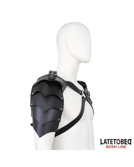shoulder harness adjustable