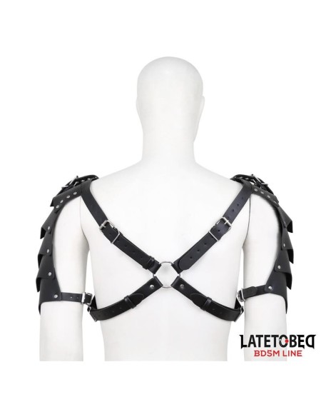 shoulder harness adjustable