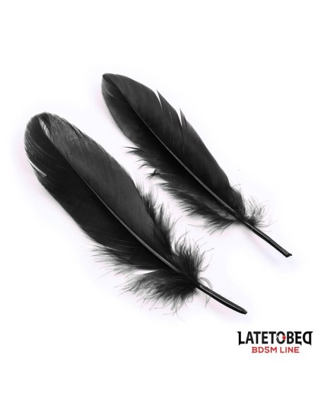 3 pieces set mask, handcuffs and feathers noir