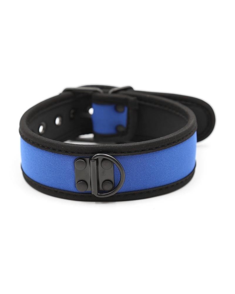 neoprene puppy collar adjustable blue