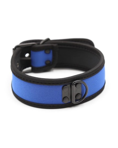 neoprene puppy collar adjustable blue