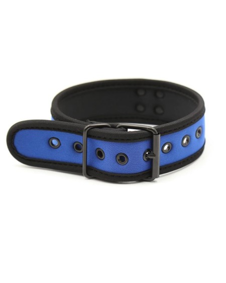 neoprene puppy collar adjustable blue