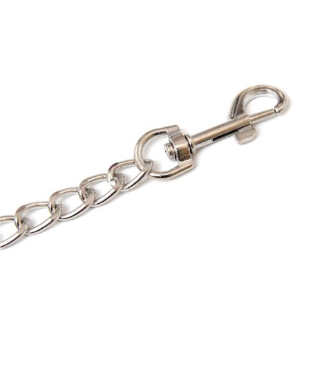 metal chain leash