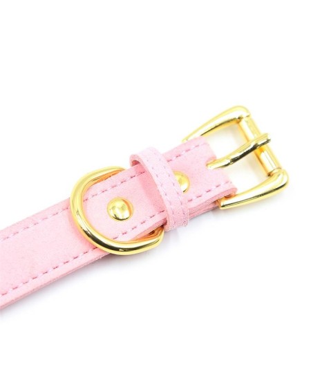 golden kitty cat collar with bell