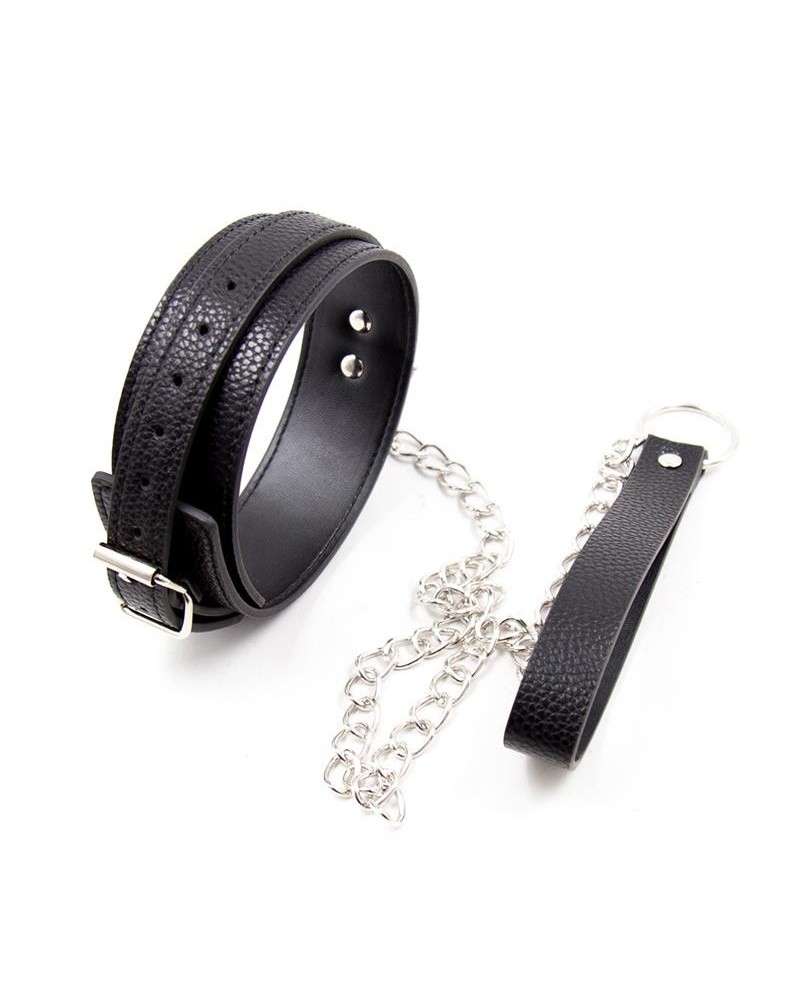 snake pattern collar with leash
