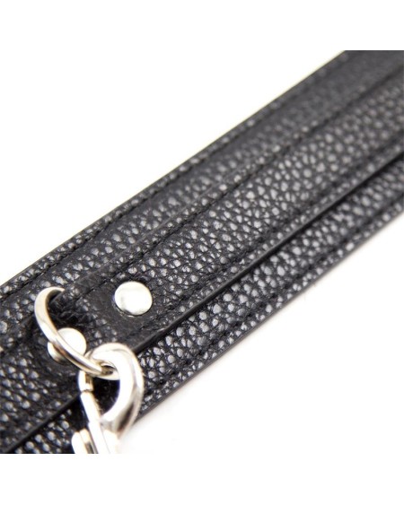 snake pattern collar with leash