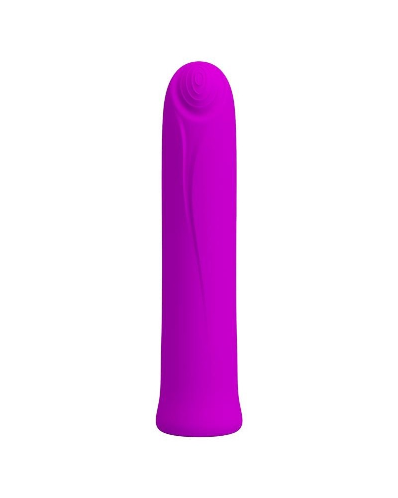 curtis bullet vibrator usb