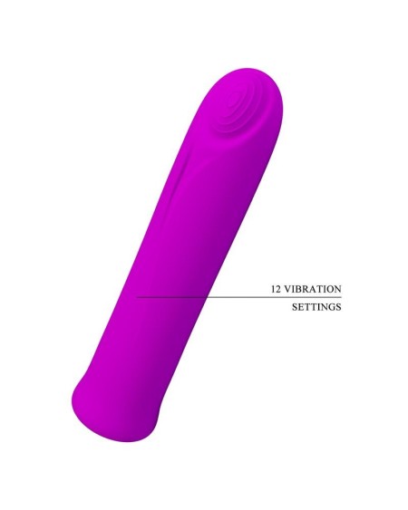 curtis bullet vibrator usb