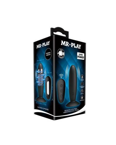 vibrant butt plug with remote control usb